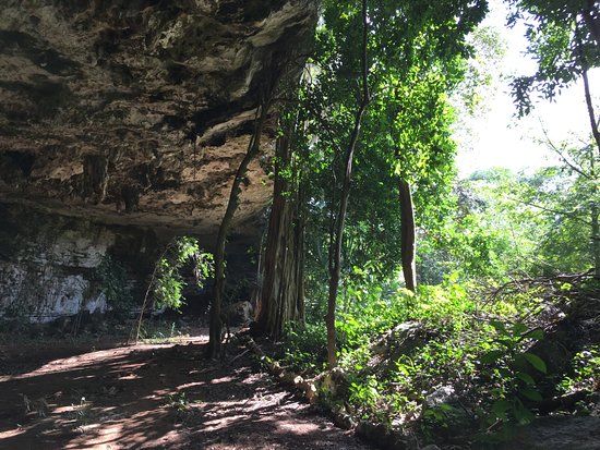Cenote Zaci